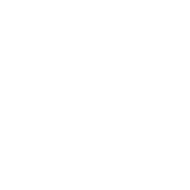 Support Icon