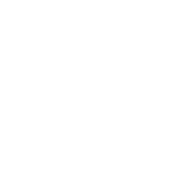 Efficiency Icon